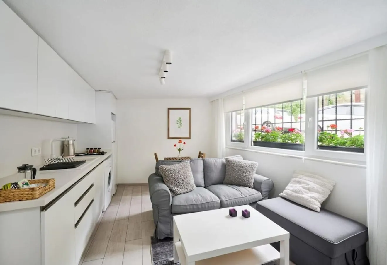 Cute Charming 1Bed1Bath Bebek Hidden Gem! #77 Apartment Istanbul